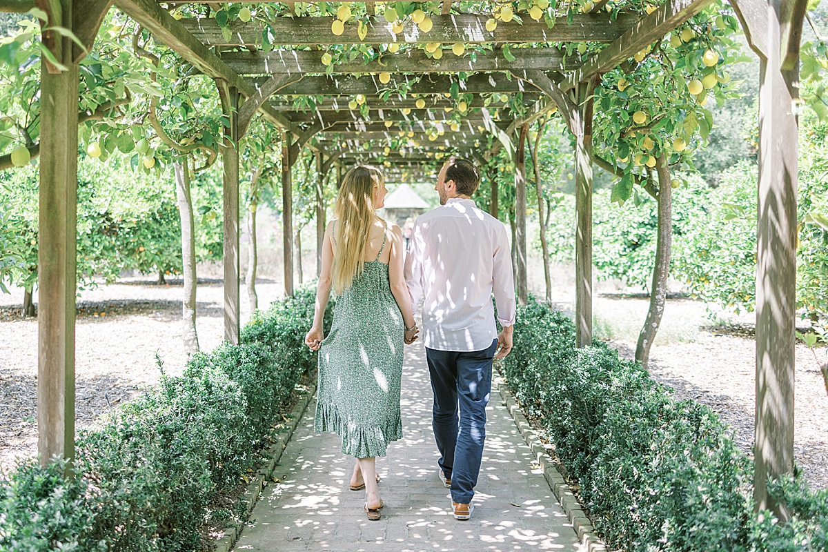 The newly engaged couple walking underneath a canopy of lemon trees at their Montecito proposal at Lotusland