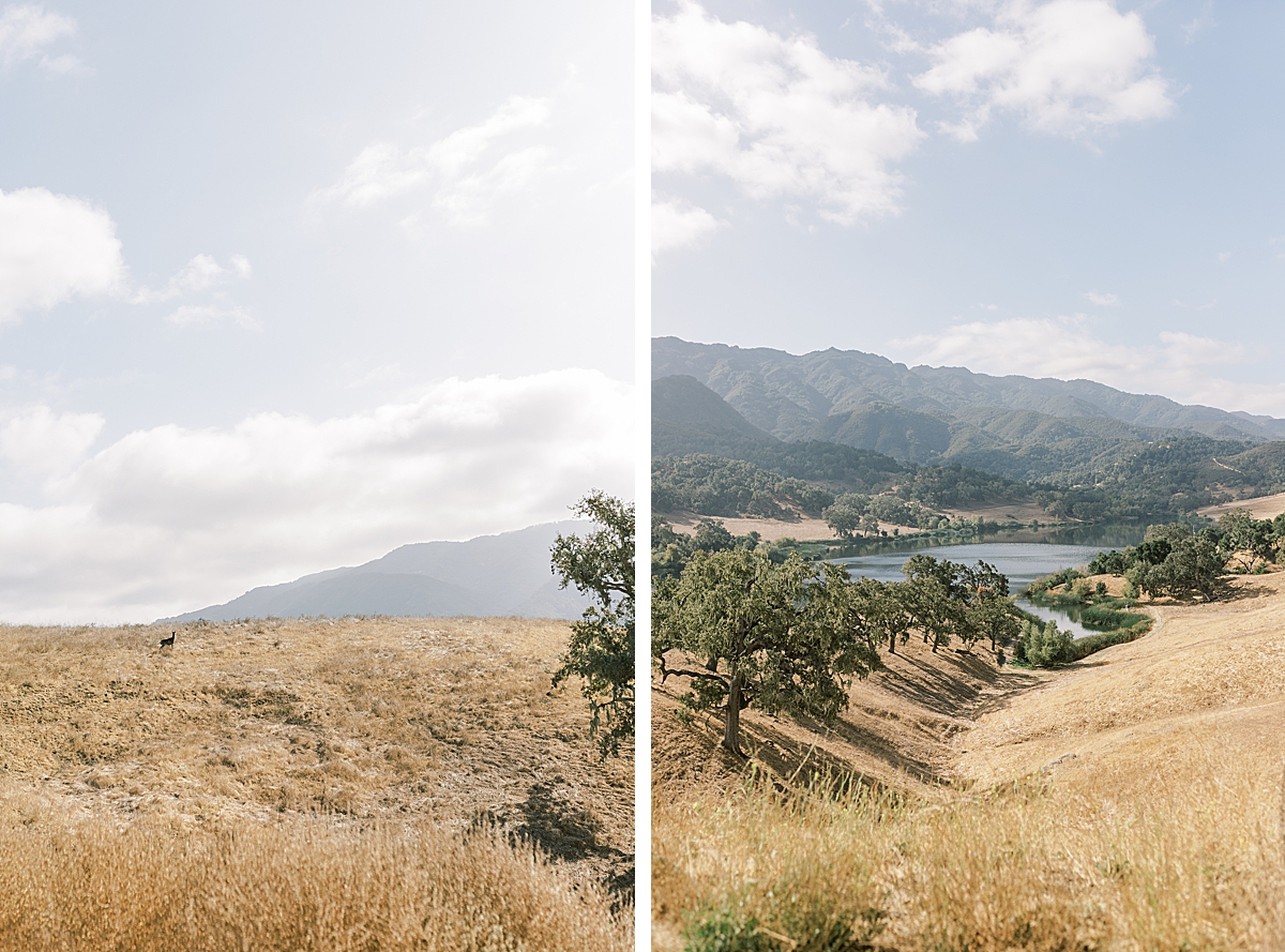 A deer on the hillside and a second image of the hillsides dipping to the lake at Alisal Ranch