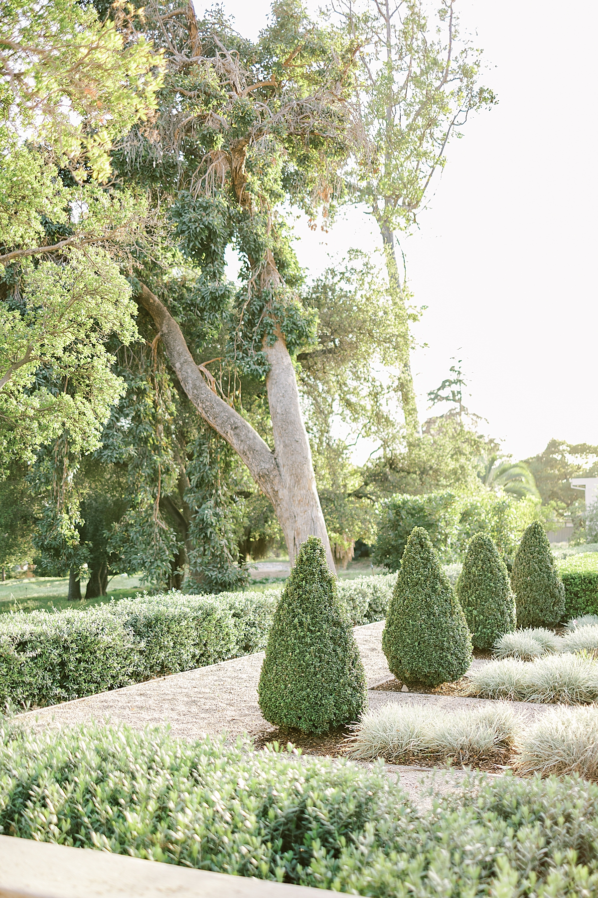 A small and peaceful garden at the Villa del Sol d'Oro